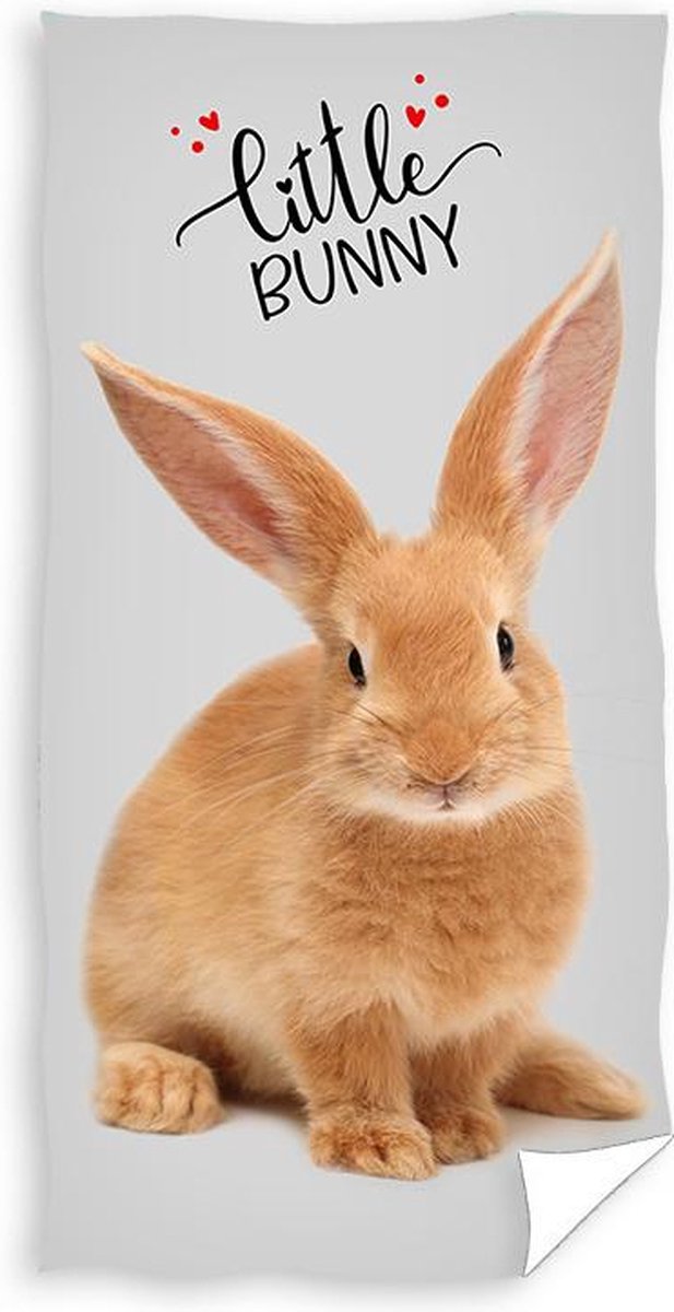 Littly Bunny Strandlaken - 70 x 140 cm