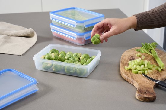 Tefal Masterseal Fresh N1033110 Kit de démarrage de contenants pour aliments frais 3 pièces 3x1,2L