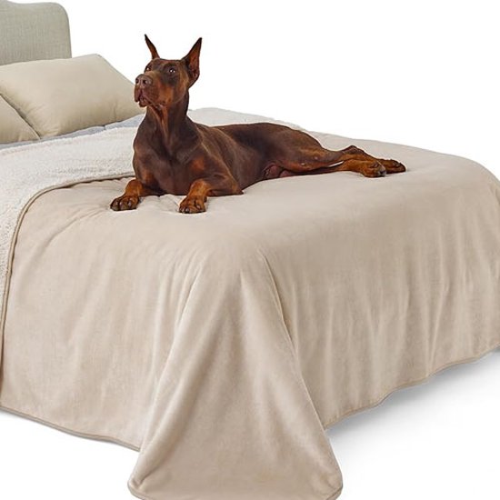Lesure waterdichte hondendeken voor grote honden - 229 x 218 cm wasbare hondendeken buiten, XXXL fleece bankbeschermingsdeken groot, kattendeken pluizig voor bank, kameel Lesure waterdichte hondendeken voor grote honden - 229 x 218 cm wasbare hondendeken buiten, XXXL fleece bankbeschermingsdeken groot, kattendeken pluizig voor bank, kameel