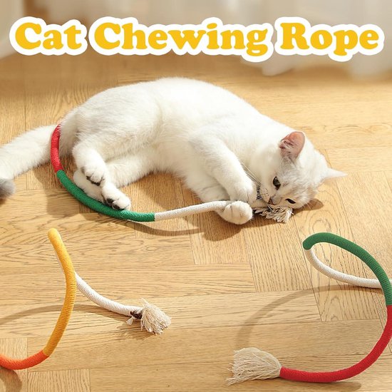 kattenspeeltjes voor urenlang speelplezier