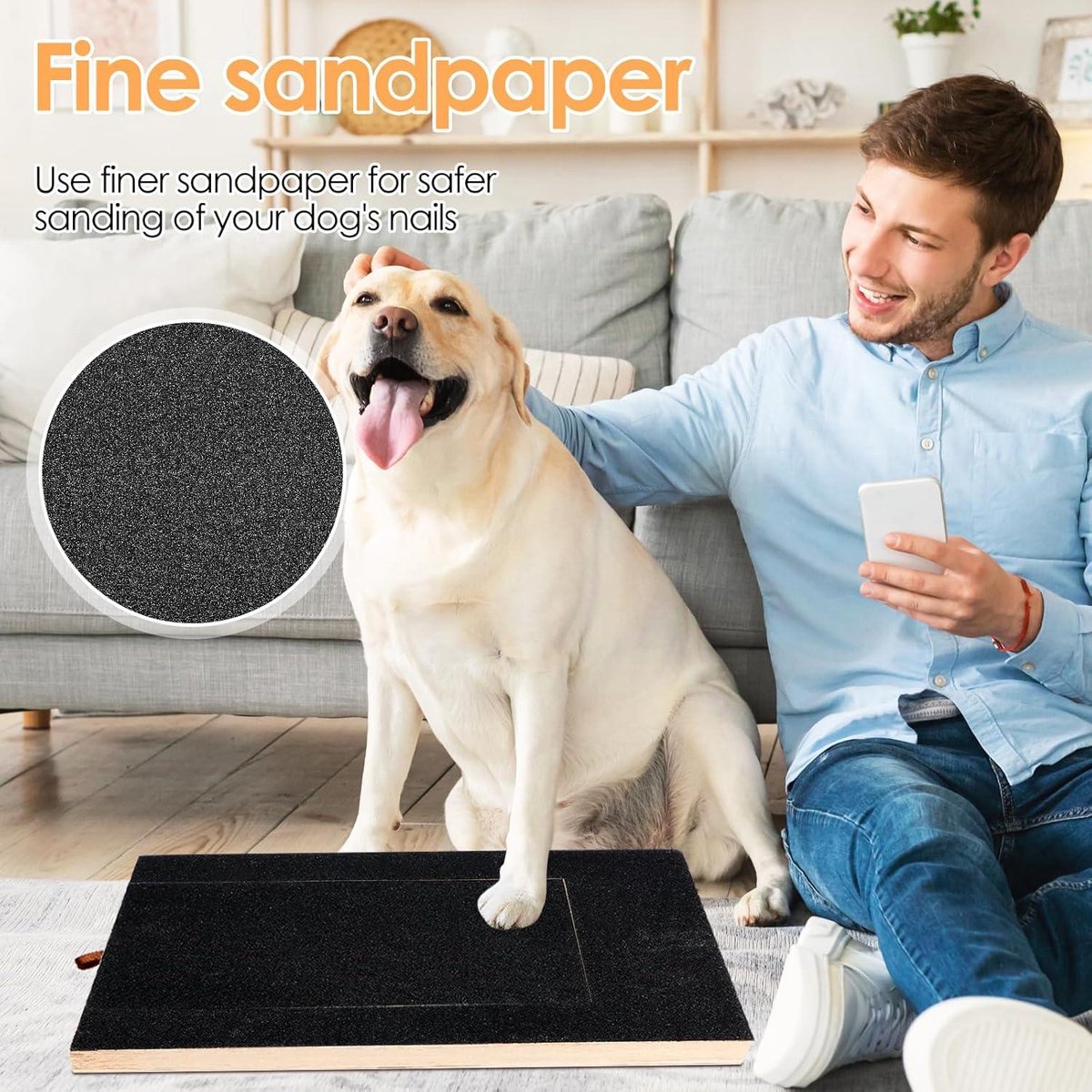 Loopplank hond Action alternatief: 15x de beste van 2026