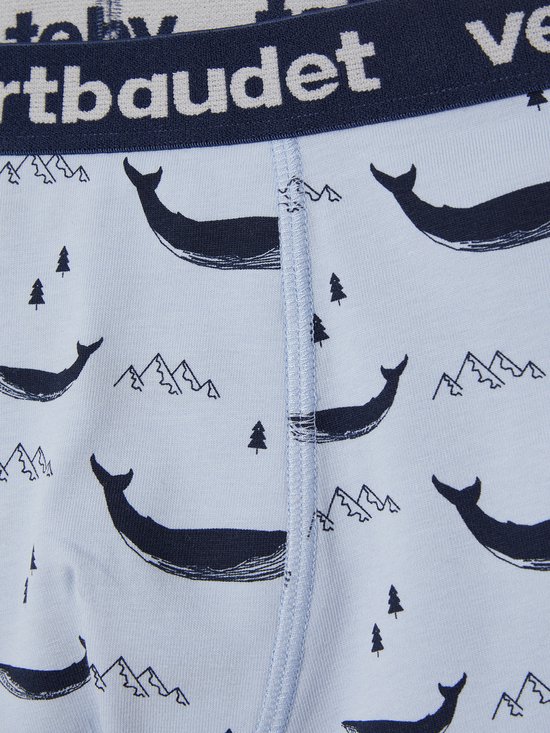 Détail de boxers garçon bleu clair avec un imprimé all-over de baleines bleu marine, de montagnes et de petits arbres. Ceinture bleu marine avec logo "vertbaudet".