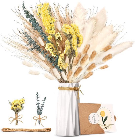 lagurus naturel (hazenstaart) gedroogde bloemen | Jan&Juup lagurus naturel (hazenstaart) gedroogde bloemen | Jan&Juup