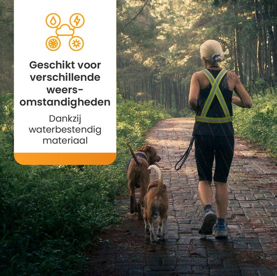 Vrouw op een bospad met twee honden, draagt een reflecterend geel hardloopvest.
