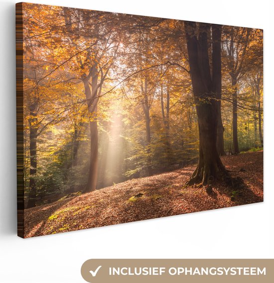 Peinture sur toile - Forêt - Automne - Lumière - Feuilles - Arbres - Canvasdoek - 30x20 cm - Peintures sur toile - Décoration murale