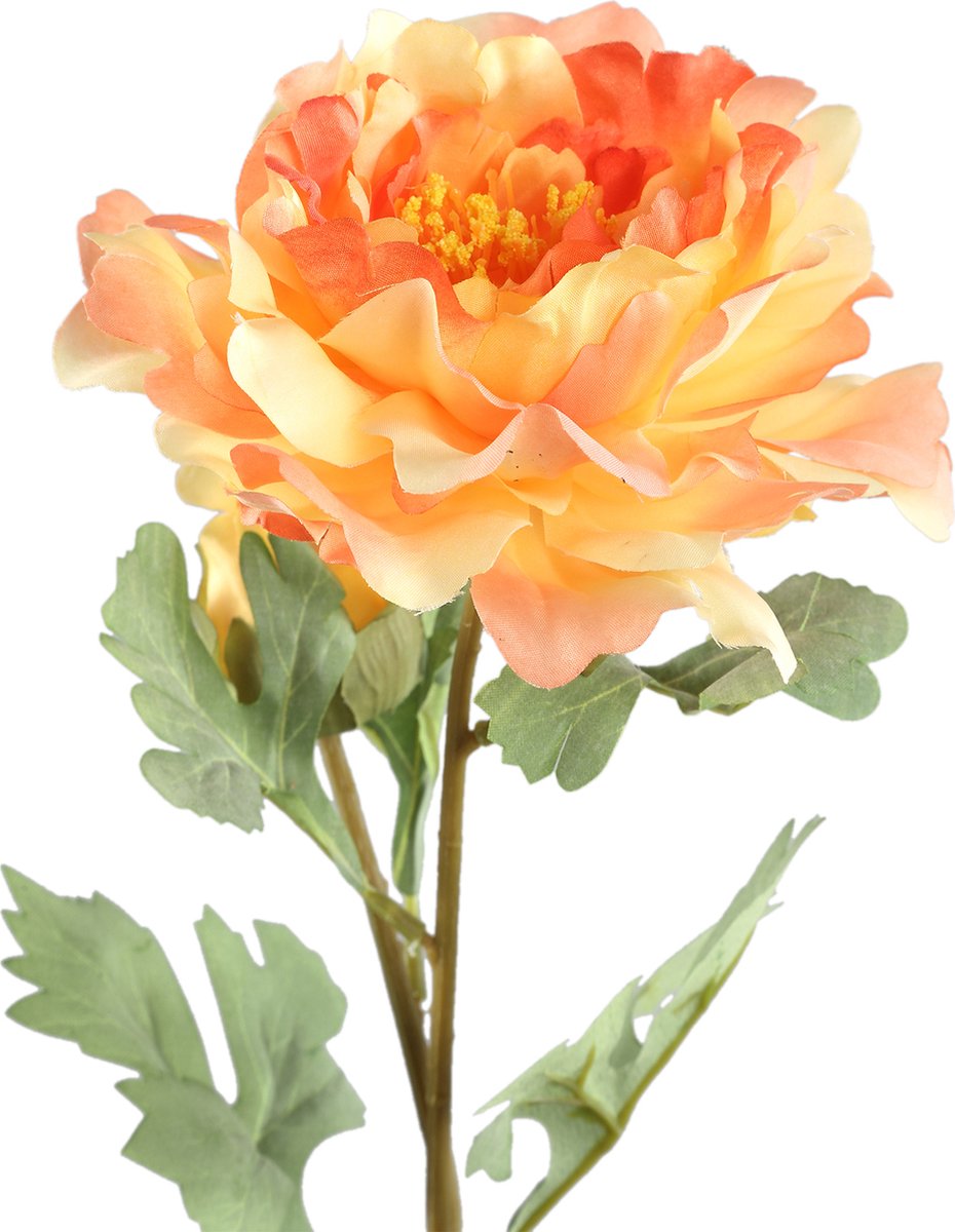 PTMD Peony Flower Orange With Bud