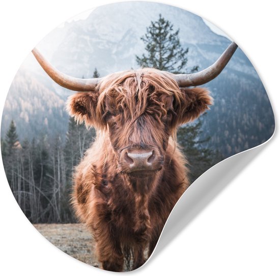 Behangcirkel zelfklevend - Schotse hooglander - Koe - Dieren - Berg - Zelfklevend behang - 80x80 cm - Wanddecoratie rond - Behang rond - Behangsticker