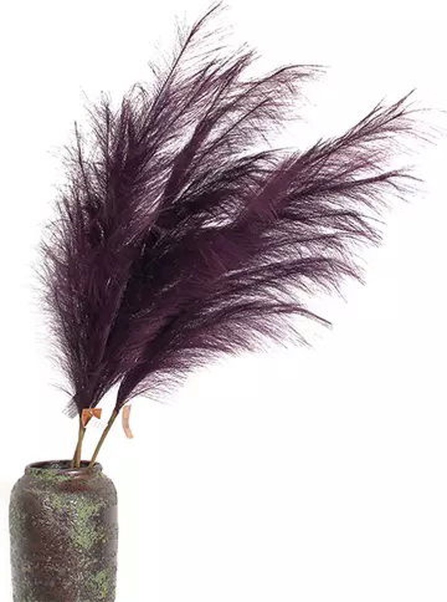 Buitengewoon Boet Pampas Gras 60 cm Mauve kunstplant Buitengewoon de Boet paars