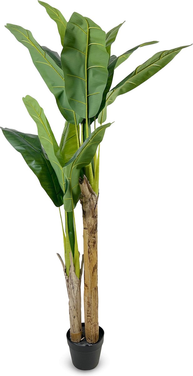 IvoQ Kunst Bananenplant 160 cm – Onderhoudsvrij, Stijlvol en Groen – Voor Elke Kamer