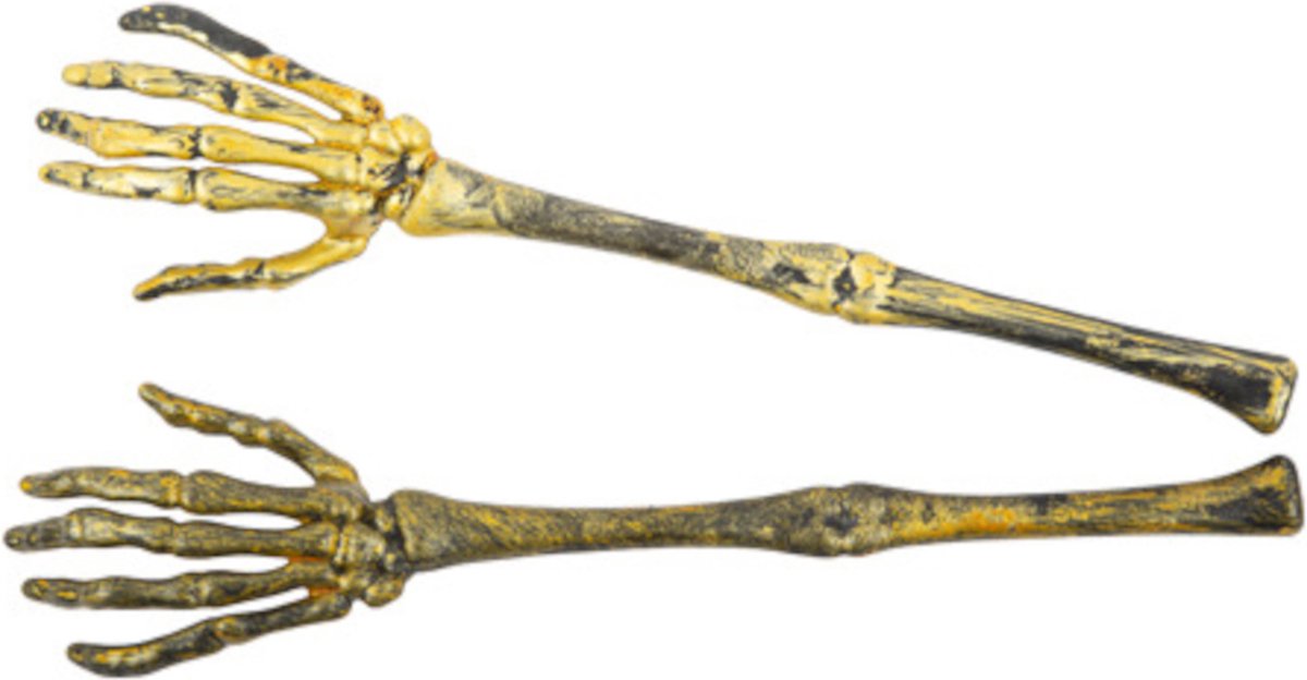 ARTYFETES - 2 Plastic skeletarmen verouderd goud 31 cm