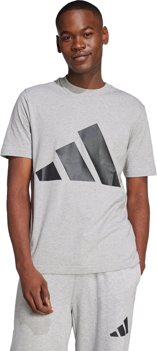 adidas Sportswear Essentials Big Logo T-shirt Heren Grijs