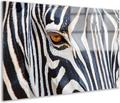 Zebra glas schilderijen - Dier schilderijen glas - Glasschilderij Oog - Wanddecoratie landelijk - Acrylglas schilderijen - Decoratie slaapkamer acrylglas 105x70 cm