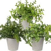 Esschert Design Kunstplant/kruiden tijm - terracotta pot - 21 cm | Fun