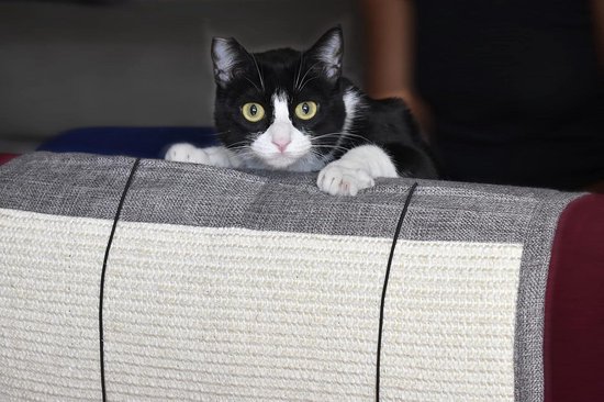 Balles à gratter pour chats et épilateur de poils de canapé – Set de 2 avec balles et sacs – Taille-crayon en sisal naturel pour griffoir de votre chaton