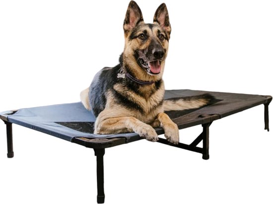 Foto: Fris hondenkussen lucky dog ventilerend hondenbed deluxe 117x74x19cm hondenstretcher ligbed voor honden