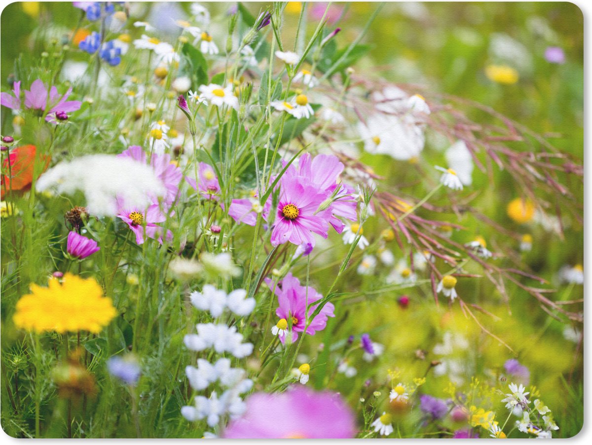 Muismat 23x19 cm - Mousepad Bloemen - Natuur - Groen - Gras - Paars - Wit - Muismatten
