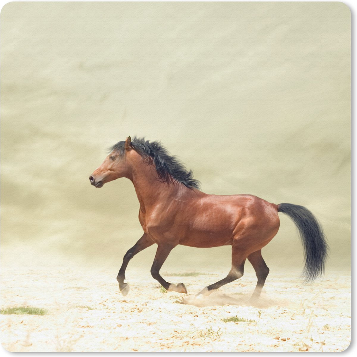 Muismat 20x20 cm - Mousepad Paard - Stof - Zand - Muismatten