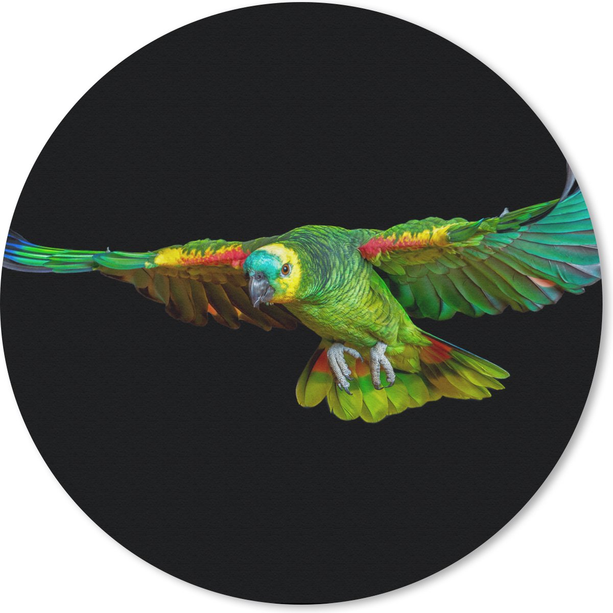Muismat rond 30x30 cm - Mousepad Papegaai - Vogel - Veren - Ronde muismatten