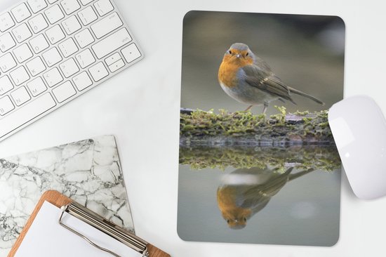 Muismat 18x27 cm - Mousepad Roodborstje - Water - Mos - Muismatten