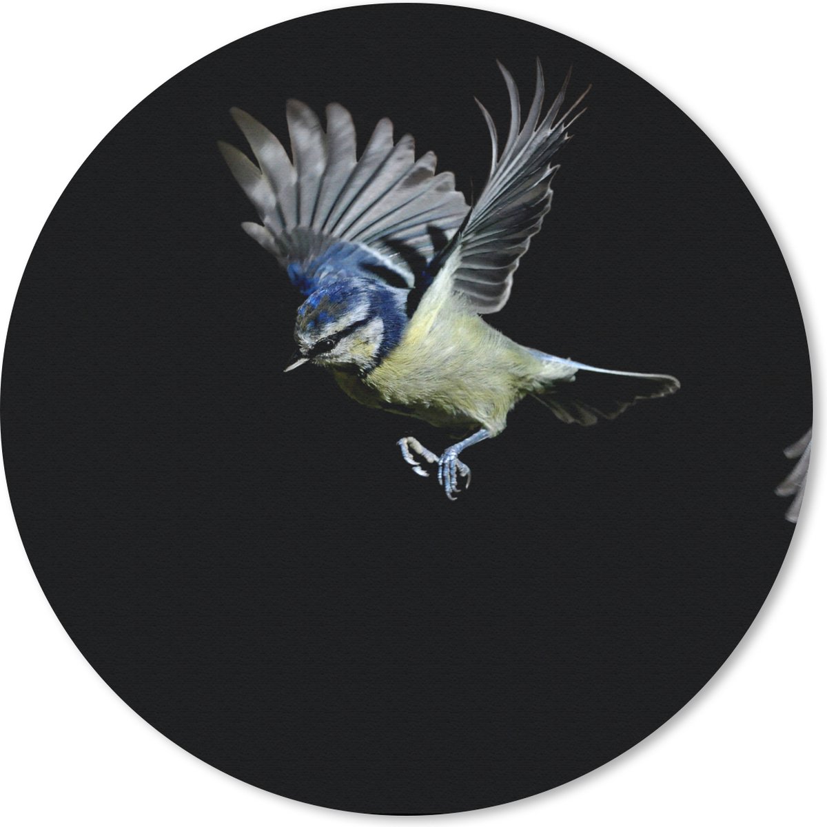Muismat rond 20x20 cm - Mousepad Vogels - Veren - Zwart - Ronde muismatten