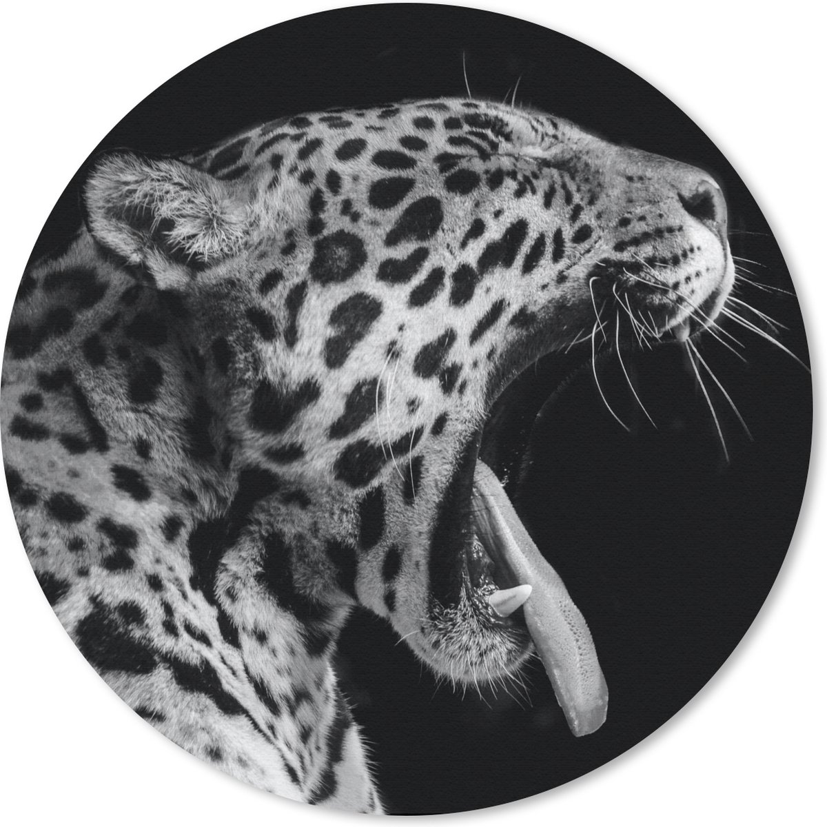 Muismat rond 20x20 cm - Mousepad Jaguar - Dier - Zwart - Wit - Ronde muismatten