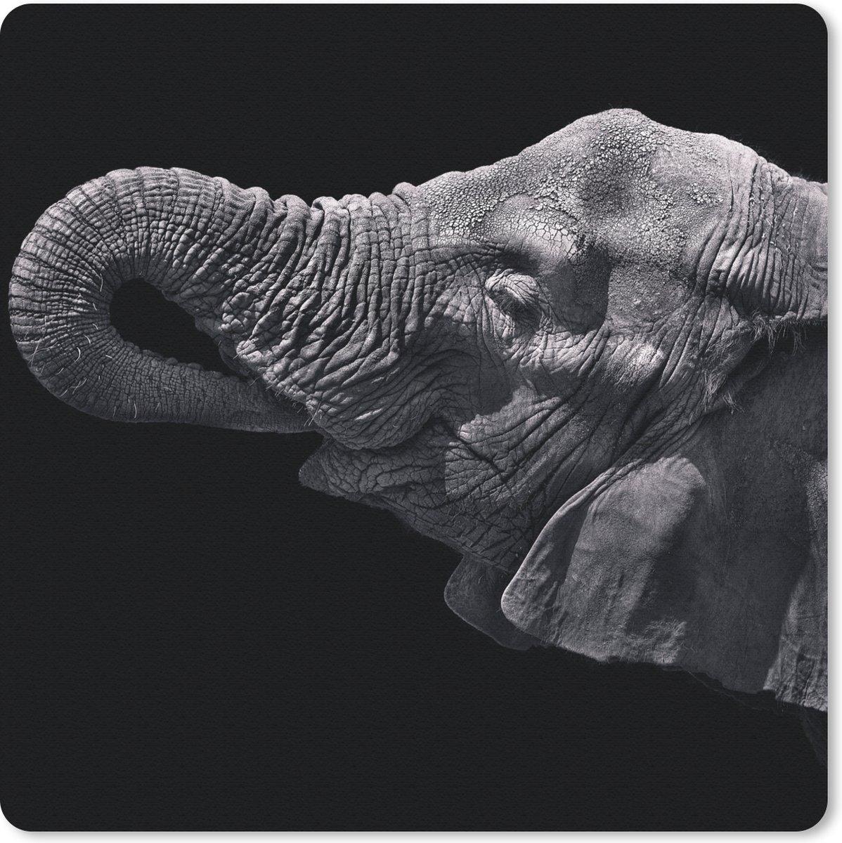 Muismat 30x30 cm - Mousepad Olifant - Dieren - Zwart - Natuur - Muismatten