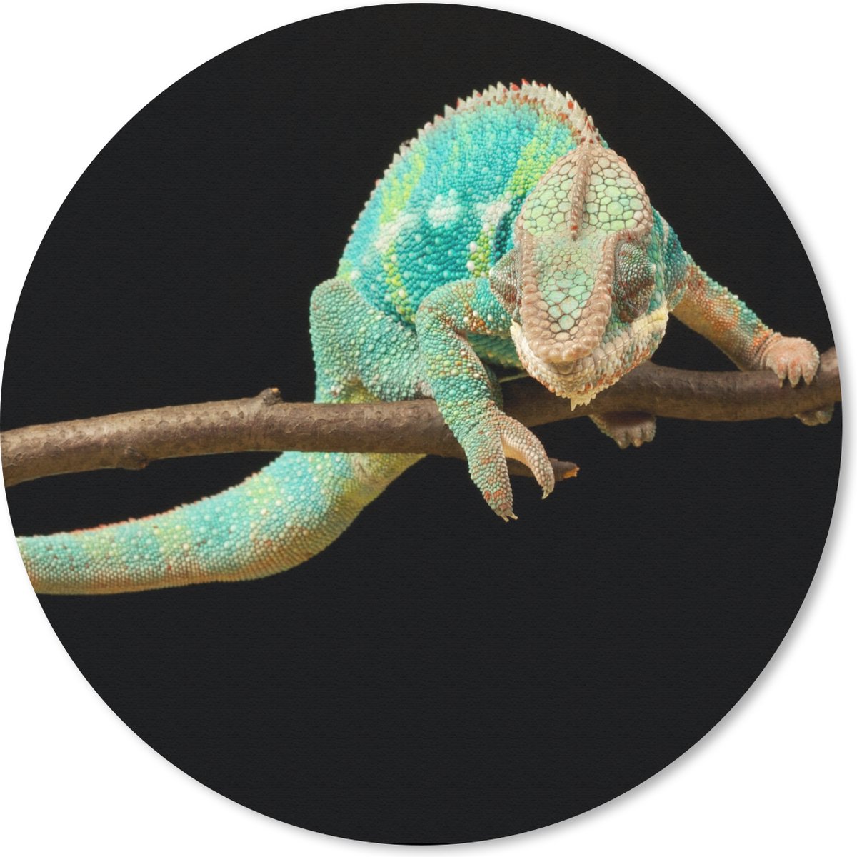 Muismat rond 30x30 cm - Mousepad Kameleon - Tak - Pastel - Ronde muismatten