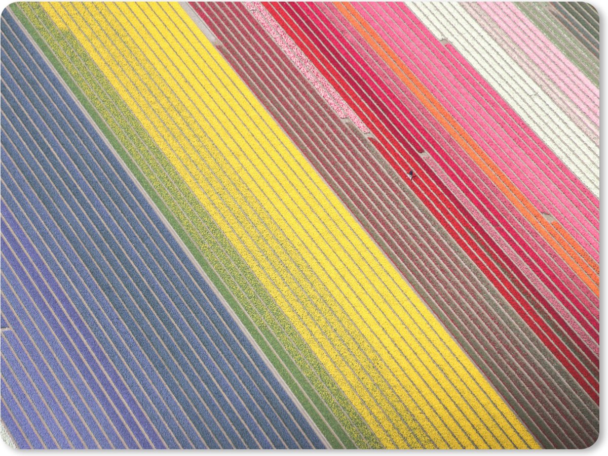 Muismat 23x19 cm - Mousepad Kleurrijke afbeelding van bloemen in Nederland - Muismatten