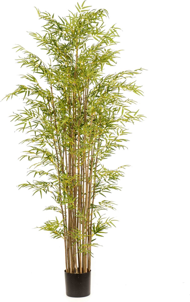 Emerald Kunstplant Bamboe Japanese Multi 210cm - Kunstplant voor binnen Groen