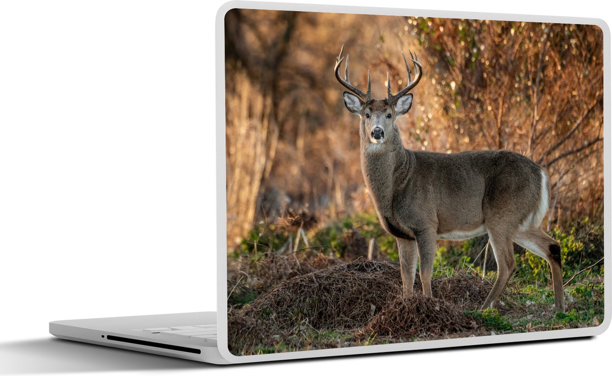 Laptop sticker - 15.6 inch - Hert - Gewei - Zonsopgang - 36x27,5cm - Laptopstickers - Laptop skin - Cover