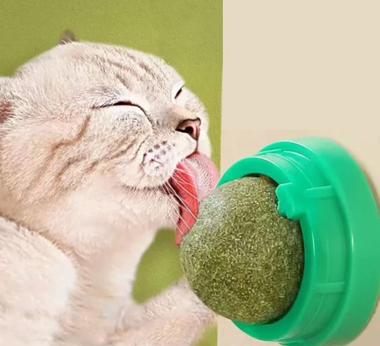 De Catnip-bal met houder aan muur