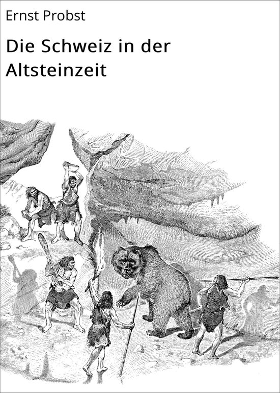 Die Schweiz in der Altsteinzeit - cover