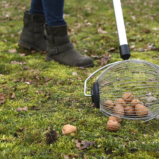 Tuin de Bruijn® - Notenraper - metaal - met telescopische steel - Gezien op TV bij 'Dwars door de lage landen' - rugvriendelijk - makkelijk en snel - dé enige echte originele van Tuin de Bruijn® — afbeelding 4