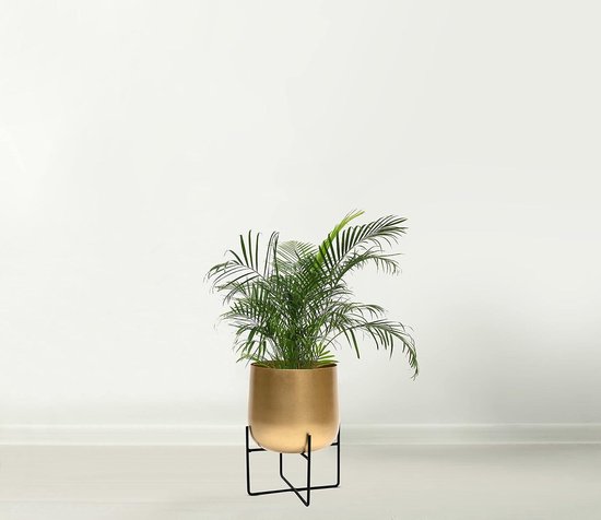 VidaXL Plantenbak Roestig 60 x 30 x 50 cm Cortenstaal - Kantoormeubelen VidaXL Plantenbak Roestig 60 x 30 x 50 cm Cortenstaal - Kantoormeubelen