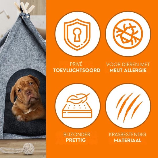 Kattentent - Huisdier tent - Dierenhuis Met Anti-mijt Overtrek - Kattenhol - Kattenhuis - Kattenmand - Dierentent - Katten Tipi Tent - Voor Binnen - 50 x 40 x 60 cm van Pawness — afbeelding 3