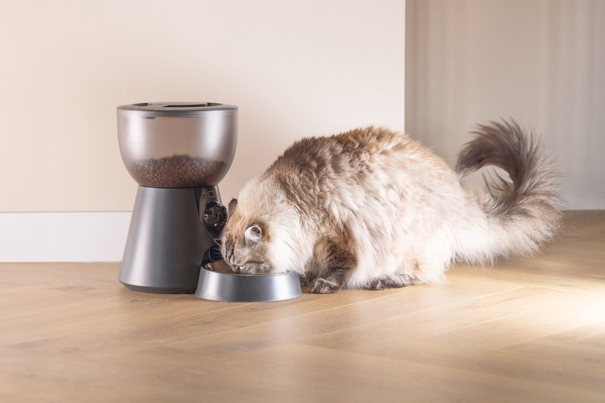 Beeztees Cam Automatische Voerautomaat Kat Smart met camera - voerbak - Antraciet - 4 liter thumbnail 6