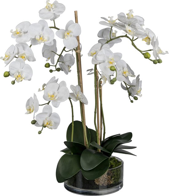 Plantes artificielles - plante artificielle - fleurs artificielles - orchidée artificielle - plantes - plant orchidée - plantes artificielles pour l'intérieur - plante artificielle en pot - plant artificielle - fausses plantes