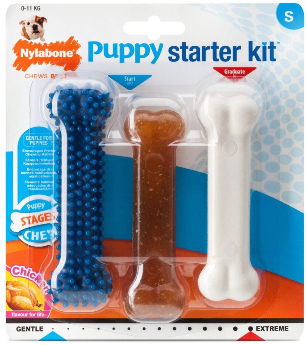 Nylabone Puppy Starter Kit Dog Chew small Hund