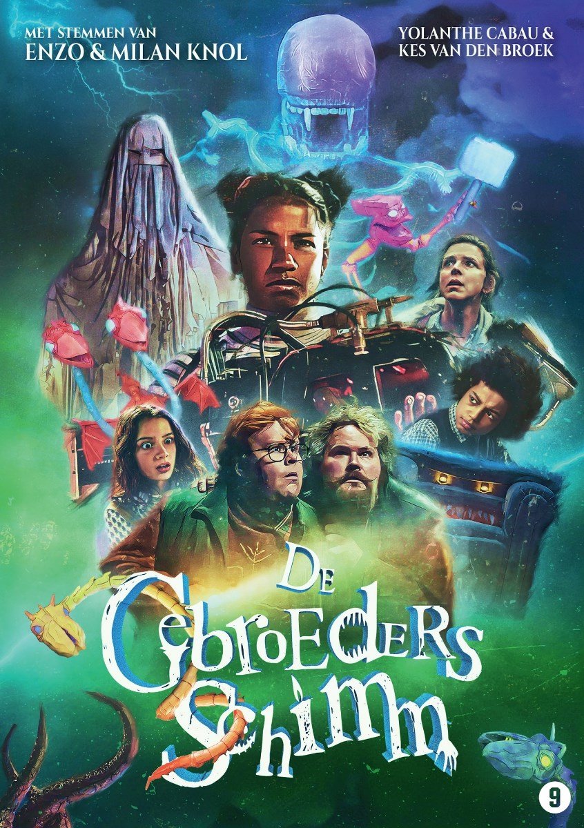 De Gebroeders Schimm (DVD)