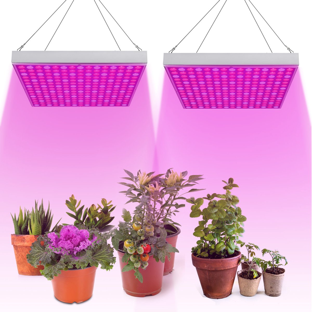 2X LED groeilamp - kweeklamp - full spectrum - groei & bloei - grow light - groeilamp full spectrum - 45 Watt - 30.5 x 30.5 cm - 225 LEDs