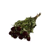 Bordeauxrode gedroogde rozen | Rozen droogbloemen | 10 rozen per bos | Lengte 40 centimeter | Per bos te bestellen