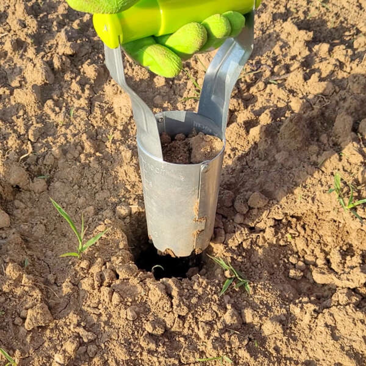 Plantpakket