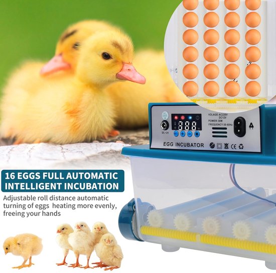 Automatische eierincubator, digitale volautomatische broedmachine, incubator met automatische temperatuurregeling, voor eieren, eendenei, vogelei, kalkoeneieren, gevogelte-eieren