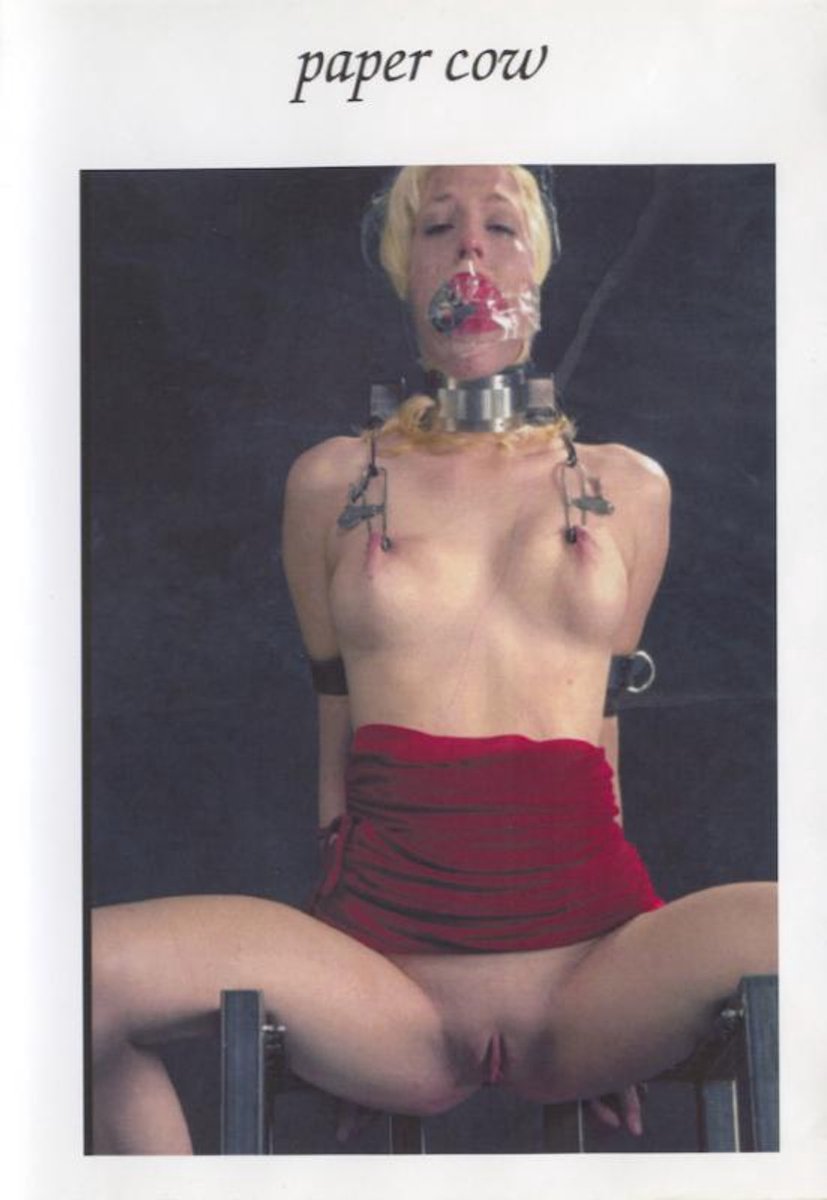 Insex - Paper Cow - 202711