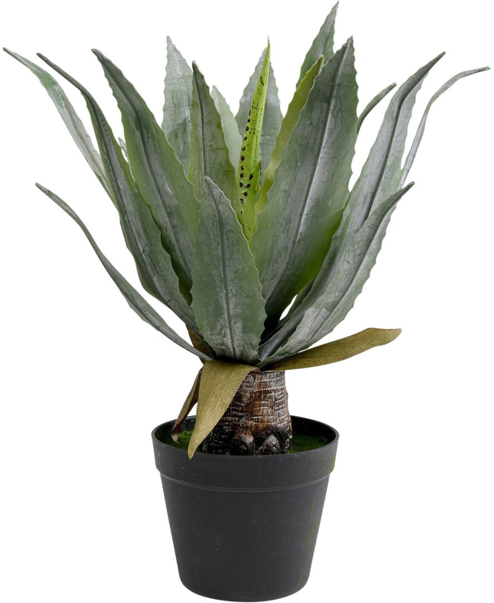 Kare Design Kunstplanten agave 40cm Kare Design Groen