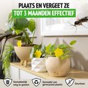 Drie kamerplanten met gele, bloemvormige vliegenvangers op een houten plank. Een rouwvliegje vliegt bij de planten. Tekst: 'PLAATS EN VERGEET ZE TOT 3 MAANDEN EFFECTIEF'.