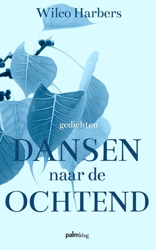 Dansen naar de ochtend - cover