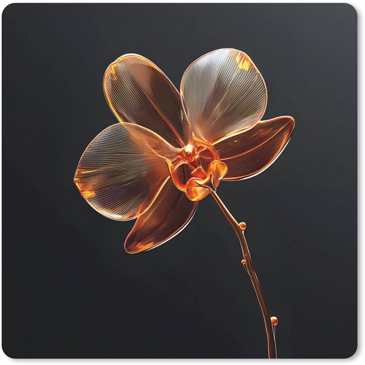 Muismat 30x30 cm - Mousepad Orchidee - Doorzichtig - Bloem - Muismatten