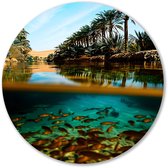 Helder water in tropische oase - Oasis wandcirkels - Wandschalen vissen - Hyperrealisme - Muurcirkels op maat - Moderne muurkunst - muurcirkel aluminium 50x50 cm