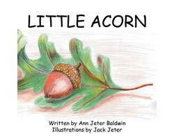 Little Acorn